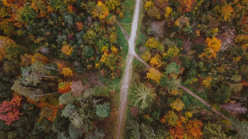 The Communities We Outgrow: On Leaving Well, Grieving Honestly, and Finding Where You Belong Next